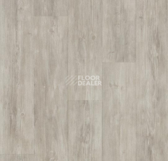 Линолеум Forbo De Luxe 2894-3024 grey pine фото 1 | FLOORDEALER